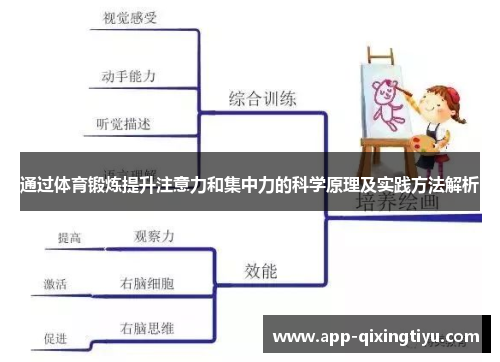 通过体育锻炼提升注意力和集中力的科学原理及实践方法解析