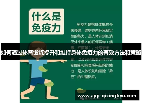 如何通过体育锻炼提升和维持身体免疫力的有效方法和策略